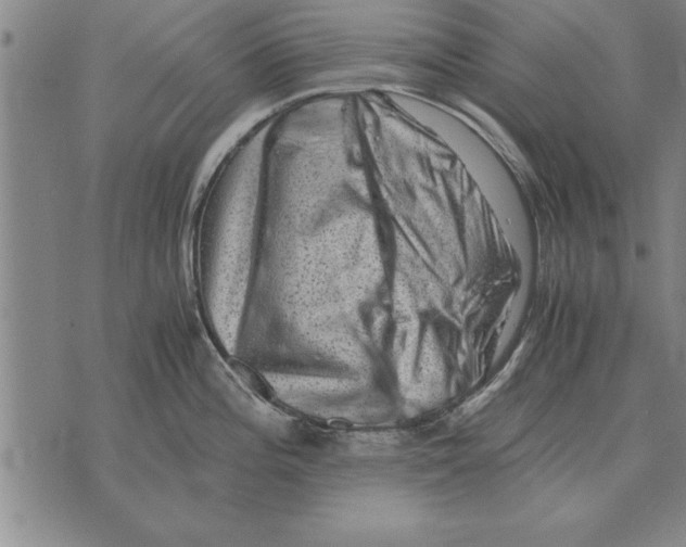 X0000075871196200610151652