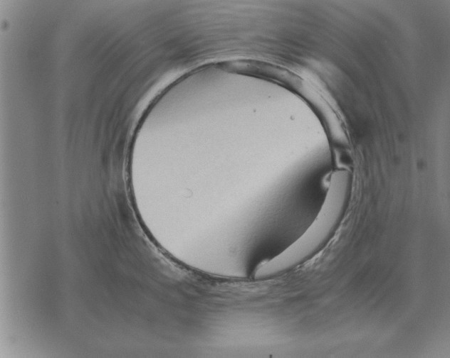 X0000075871197200610151652