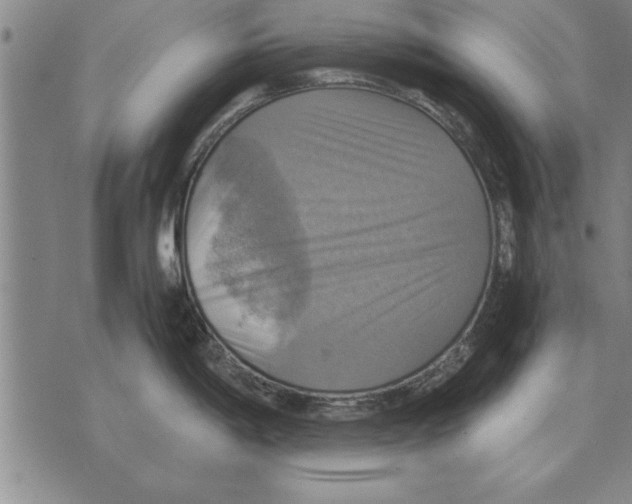 X0000075871198200610151652