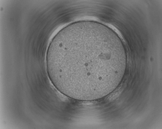 X0000075871199200610151652