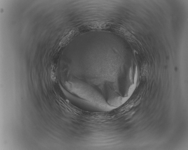 X0000075871202200610151652