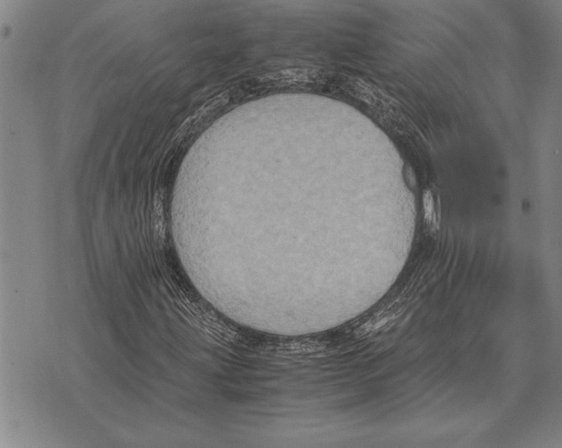 X0000075871203200610151652