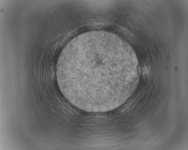 X0000075871204200610151652