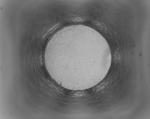 X0000075871205200610151652