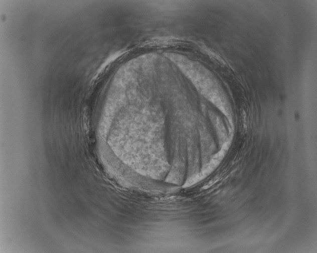 X0000075871206200610151652