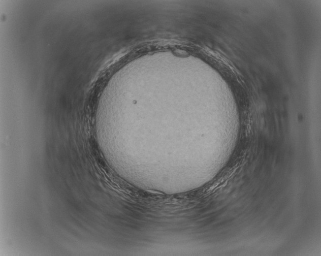 X0000075871207200610151652