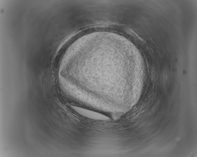 X0000075871208200610151652