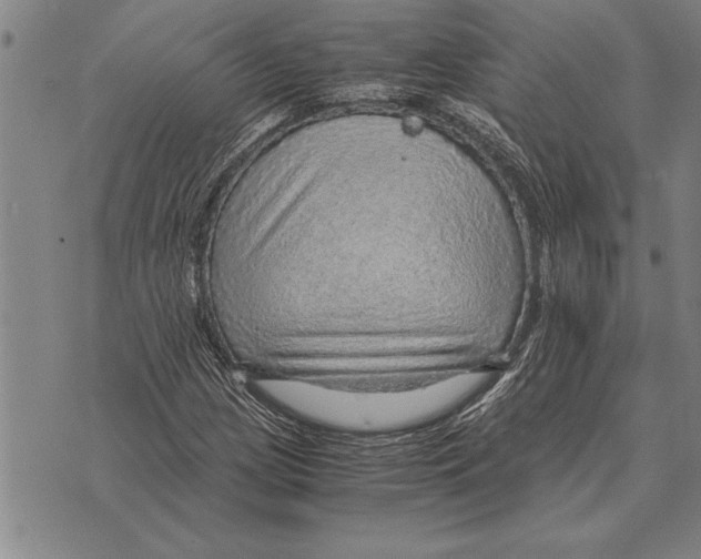 X0000075871209200610151652