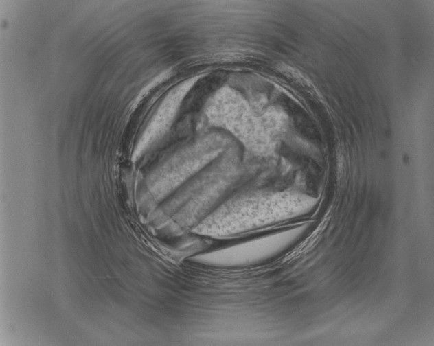 X0000075871210200610151652