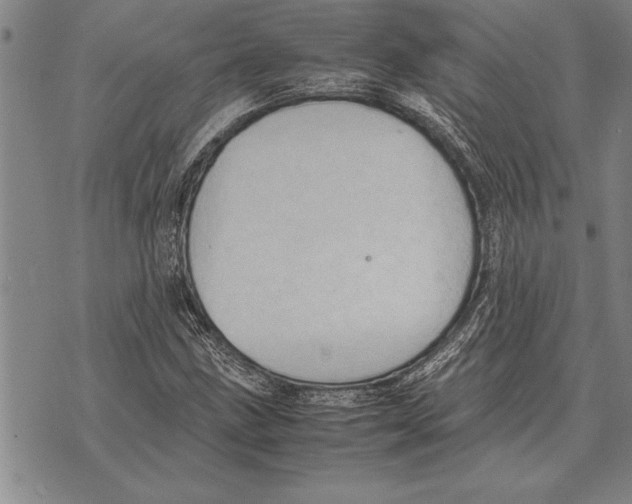 X0000075871211200610151652