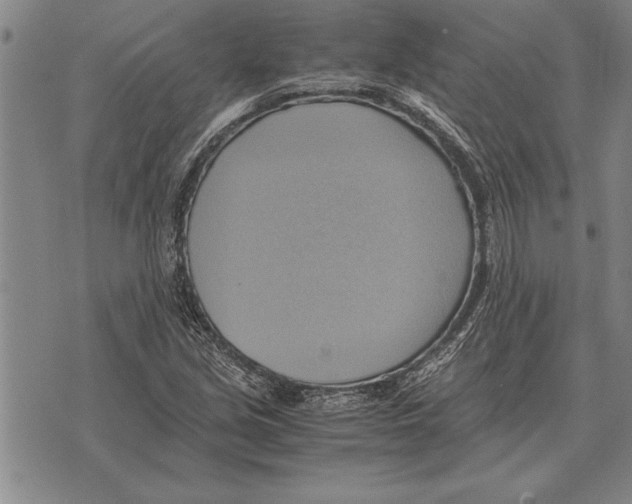 X0000075871213200610151652