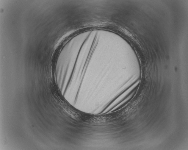 X0000075871214200610151652