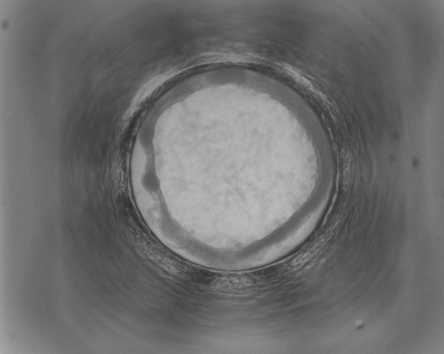 X0000075871215200610151652