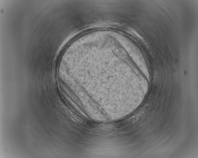 X0000075871216200610151652