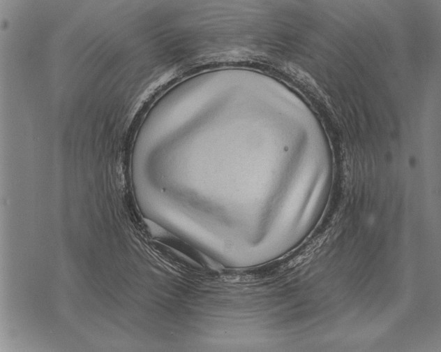 X0000075871218200610151652