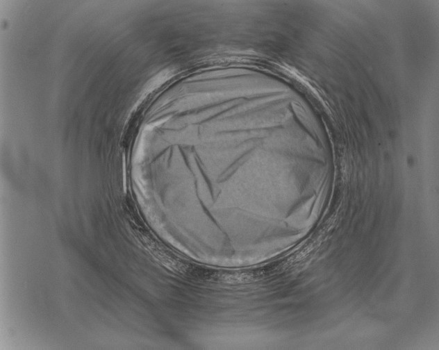 X0000075871219200610151652