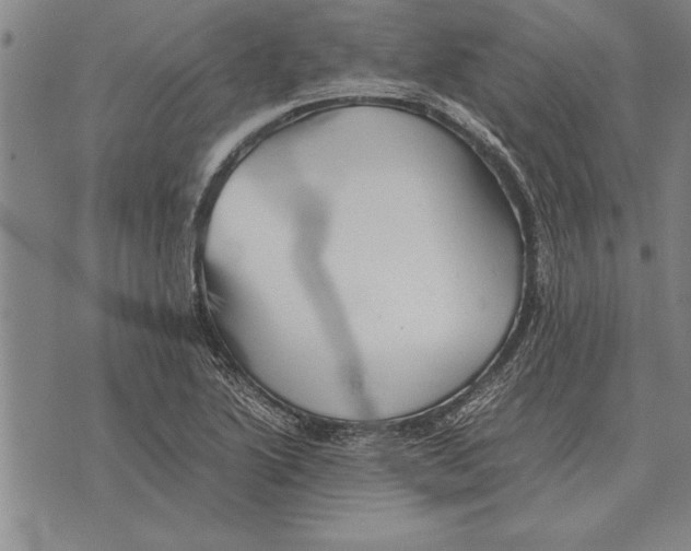 X0000075871222200610151652