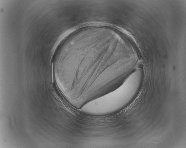 X0000075871223200610151652