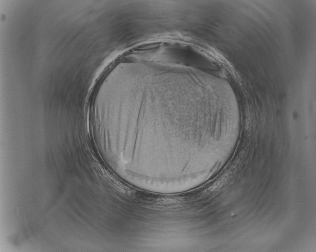 X0000075871224200610151652