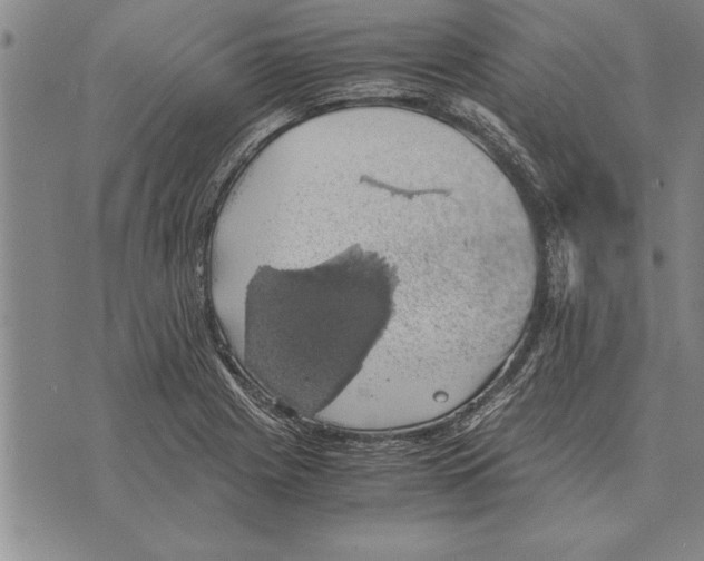 X0000075871225200610151652