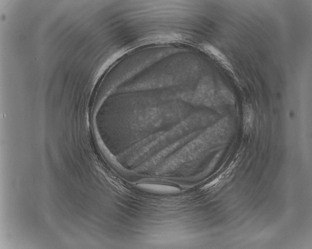 X0000075871226200610151652