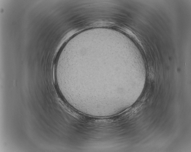 X0000075871227200610151652