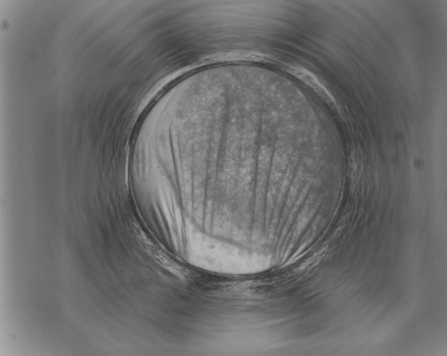 X0000075871228200610151652