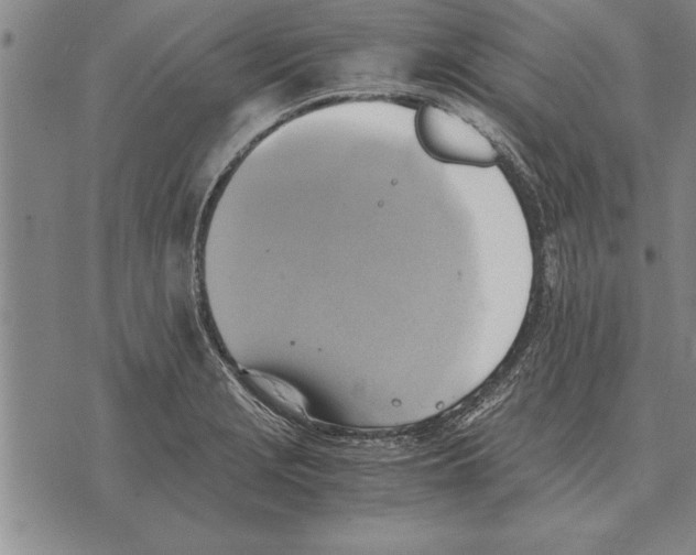 X0000075871229200610151652