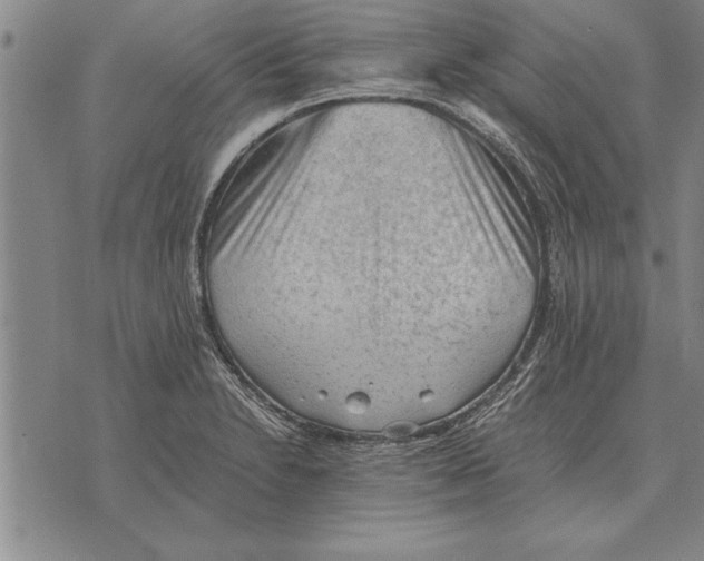 X0000075871230200610151652