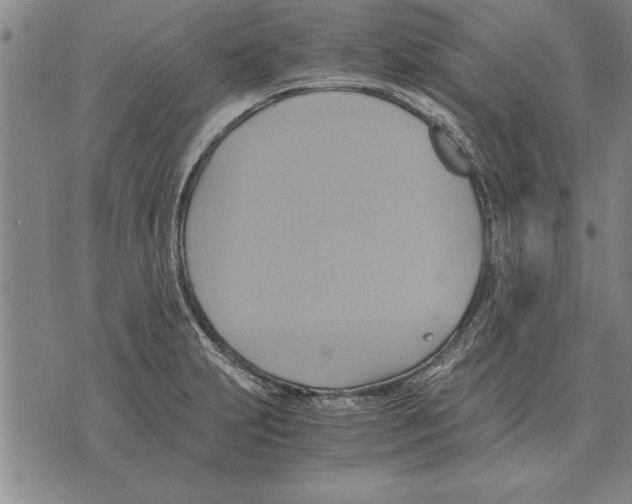 X0000075871231200610151652