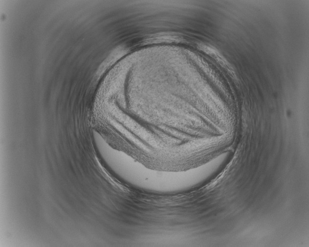 X0000075871233200610151652