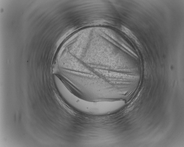 X0000075871234200610151652