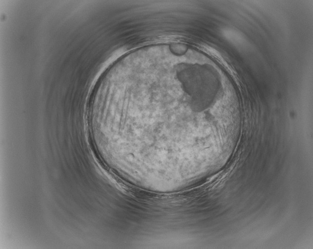 X0000075871235200610151652