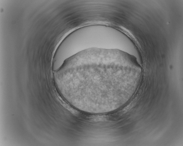 X0000075871236200610151652