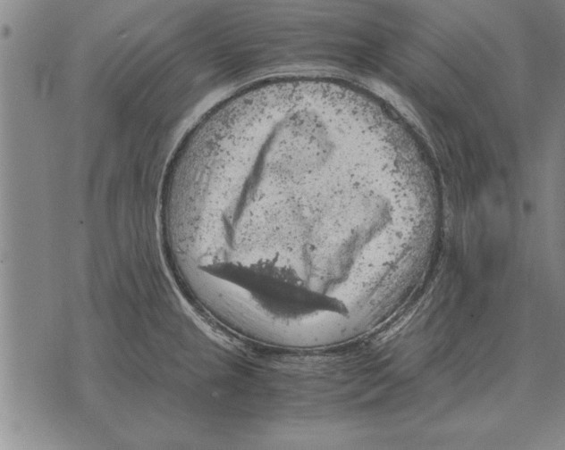 X0000075871237200610151652