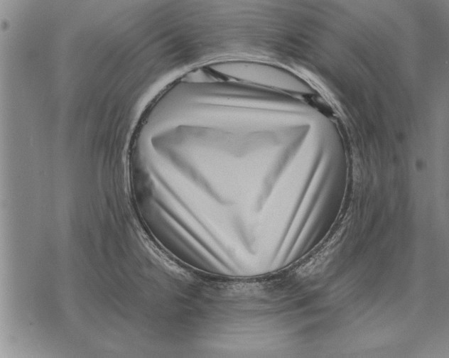 X0000075871238200610151652