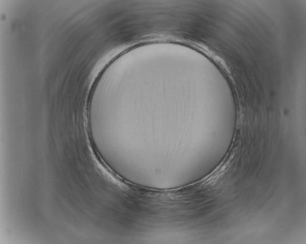 X0000075871239200610151652