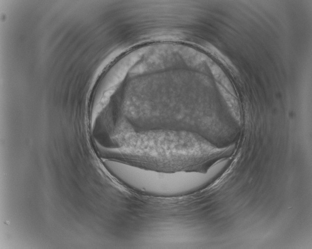 X0000075871240200610151652