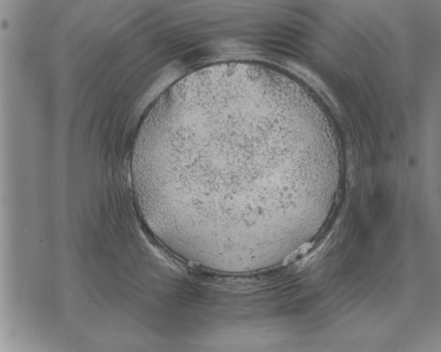 X0000075871241200610151652