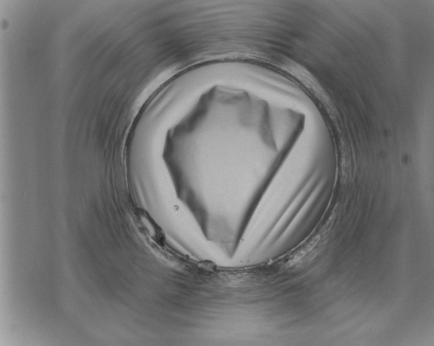 X0000075871242200610151652