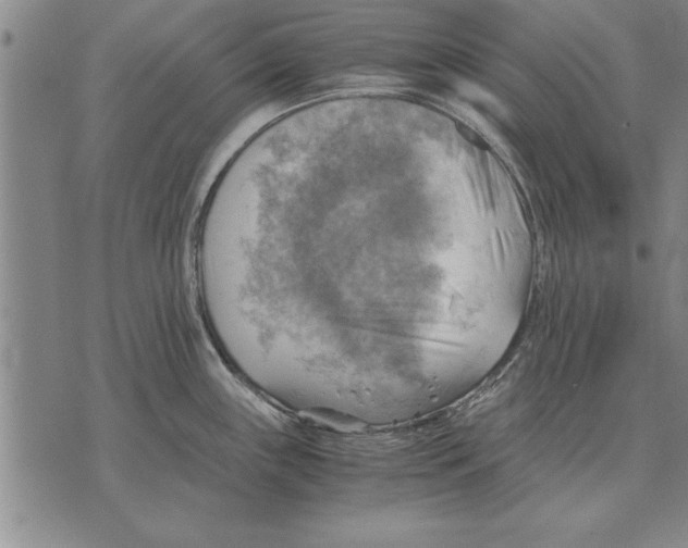 X0000075871243200610151652