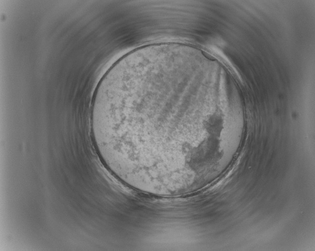 X0000075871244200610151652