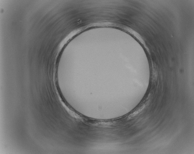 X0000075871245200610151652