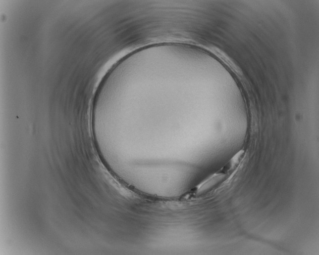 X0000075871246200610151652