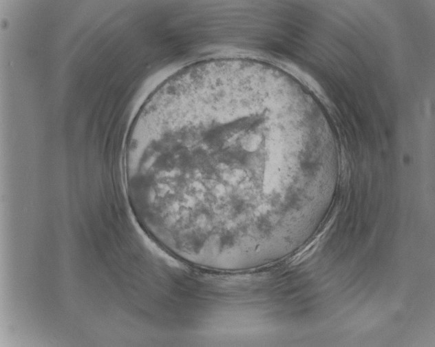 X0000075871247200610151652