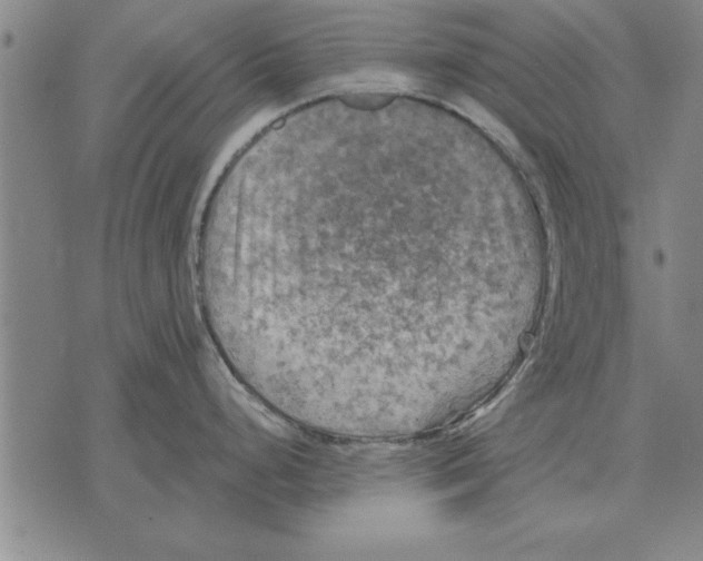 X0000075871248200610151652