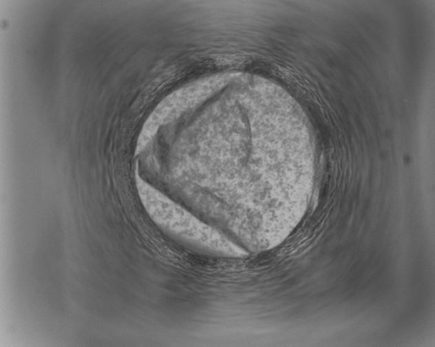 X0000075871249200610151652