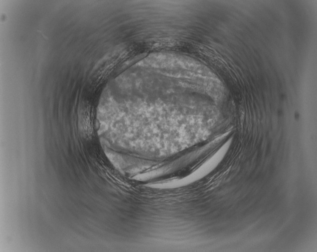 X0000075871250200610151652