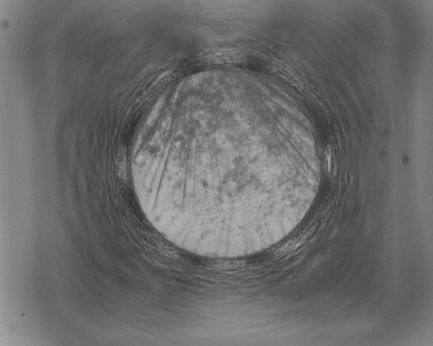 X0000075871251200610151652