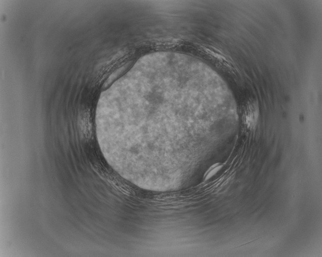 X0000075871252200610151652